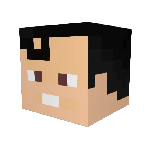 Brunneti Minecraft avatar head, 3D render
