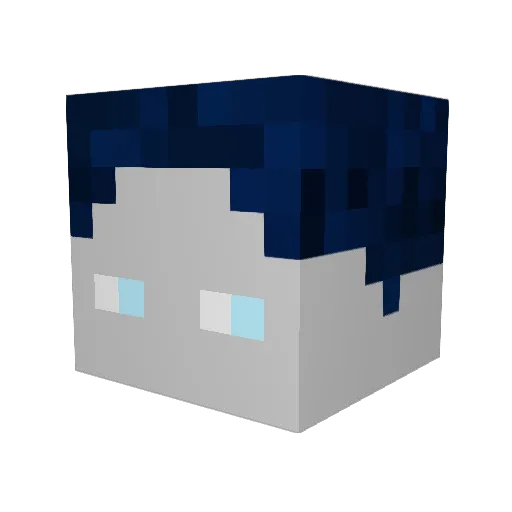 Brunnify Minecraft avatar head, 3D render