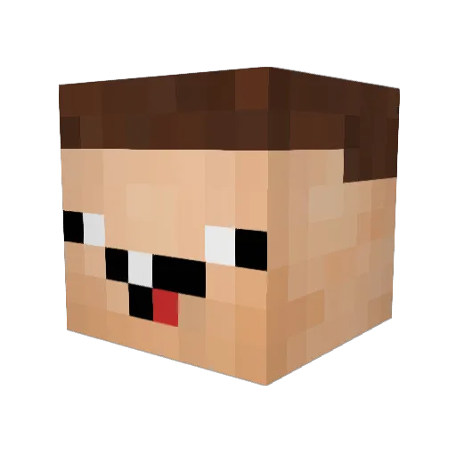 Bruno990 Minecraft avatar head, 3D render