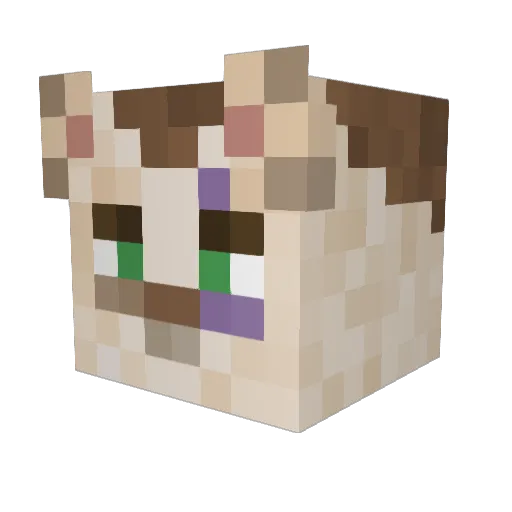 BrunoBarkz Minecraft avatar head, 3D render