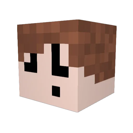 BrunoBot14 Minecraft avatar head, 3D render