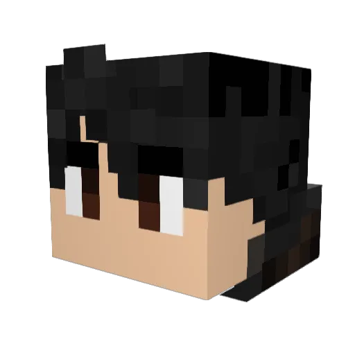 BrunoGP28 Minecraft avatar head, 3D render