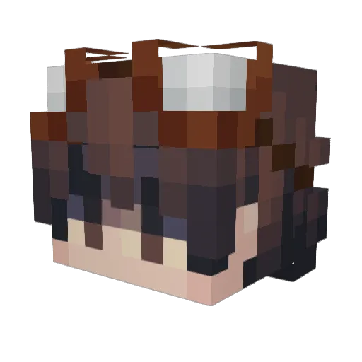 BrunoIsCouch Minecraft avatar head, 3D render