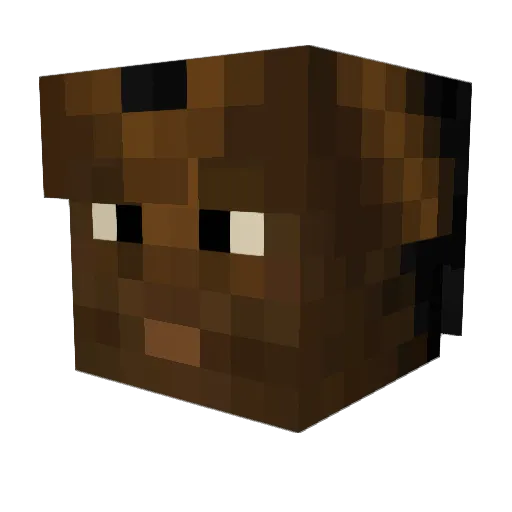 BrunoMM Minecraft avatar head, 3D render