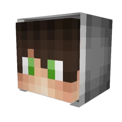 BrunoSasse Minecraft avatar head, 3D render
