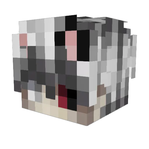 Bruno_Sempai_UwU Minecraft avatar head, 3D render