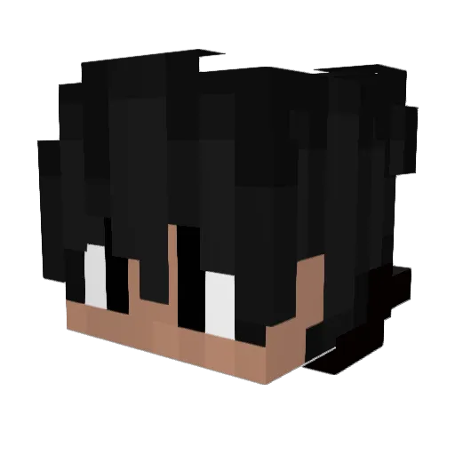 Bruno_c05 Minecraft avatar head, 3D render