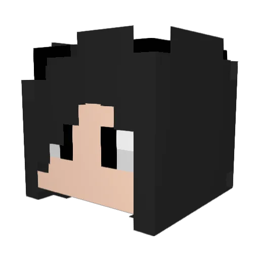 Brunowolf_s Minecraft avatar head, 3D render