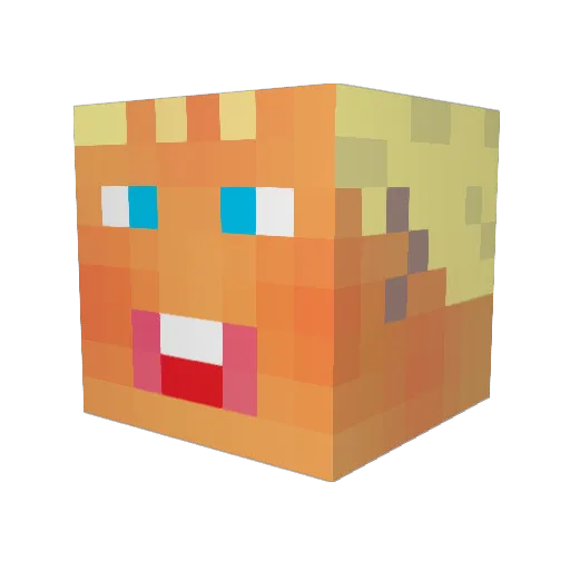 Brunq Minecraft avatar head, 3D render