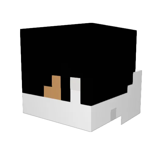 Bruntz9 Minecraft avatar head, 3D render