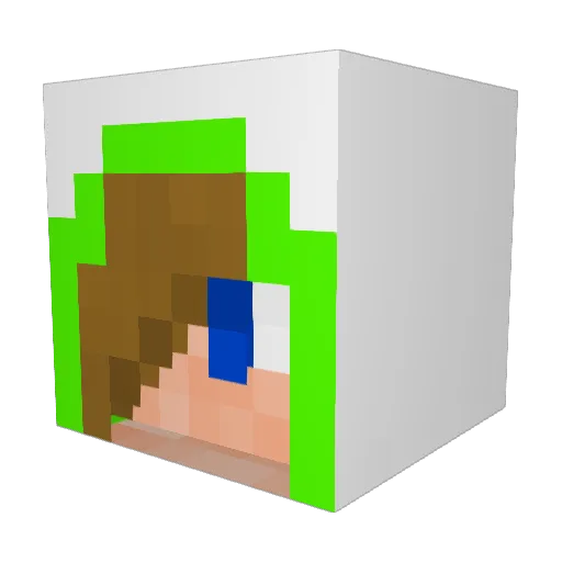 Bruse1610 Minecraft avatar head, 3D render