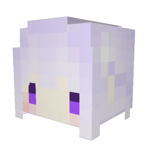 Brush1223 Minecraft avatar head, 3D render