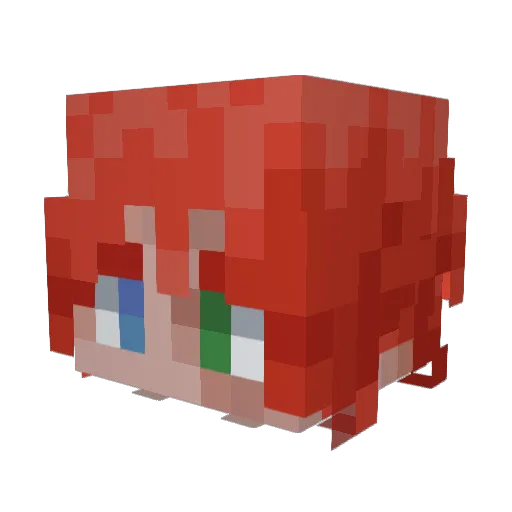 BrushBushBruh Minecraft avatar head, 3D render
