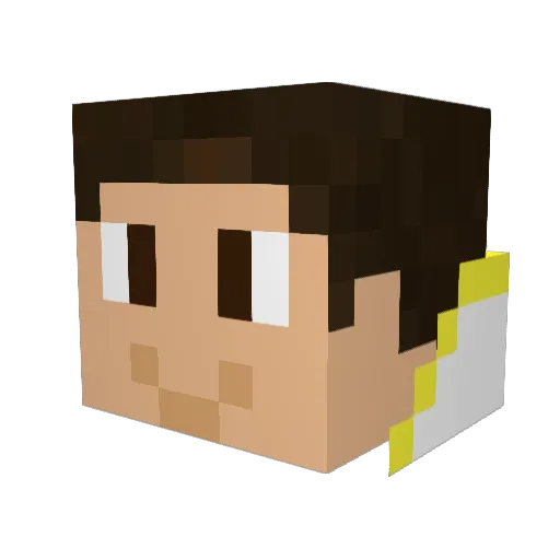Bruss_19 Minecraft avatar head, 3D render