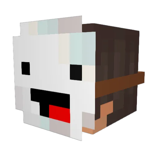Bruthe Minecraft avatar head, 3D render