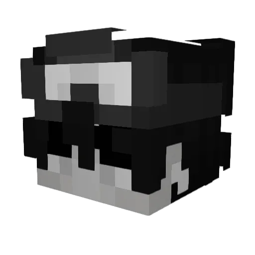 Brutos446 Minecraft avatar head, 3D render