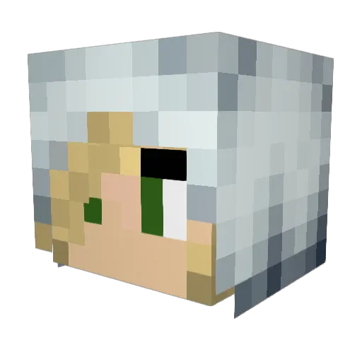 Brutus_31 Minecraft avatar head, 3D render