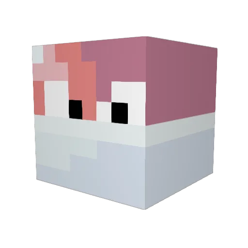 Bruuccee17 Minecraft avatar head, 3D render