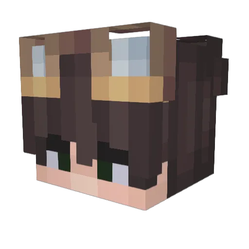 BruunK0 Minecraft avatar head, 3D render