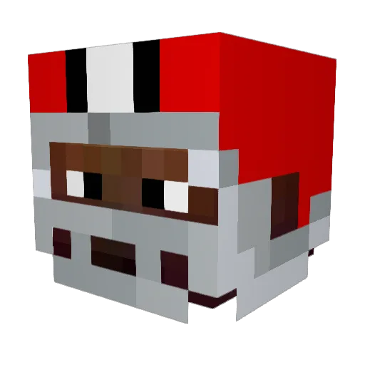 Bruz1314 Minecraft avatar head, 3D render