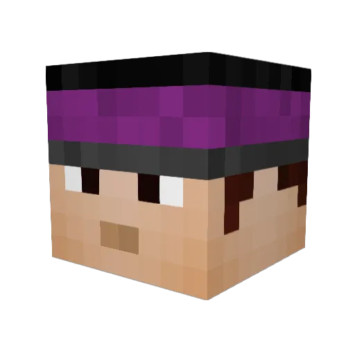 Brwnsuit Minecraft avatar head, 3D render