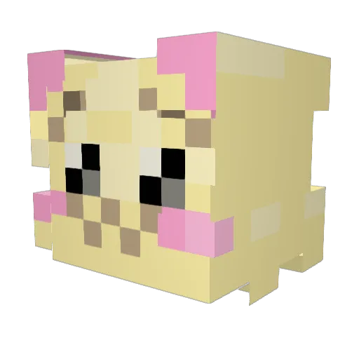 Brxe5680 Minecraft avatar head, 3D render