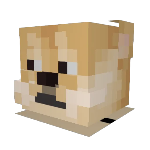 Brxhtxn Minecraft avatar head, 3D render