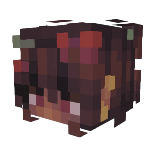Brxilivaii Minecraft avatar head, 3D render