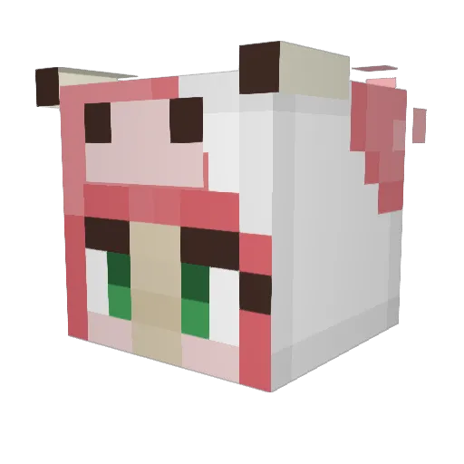 BrxkenPrxmises Minecraft avatar head, 3D render