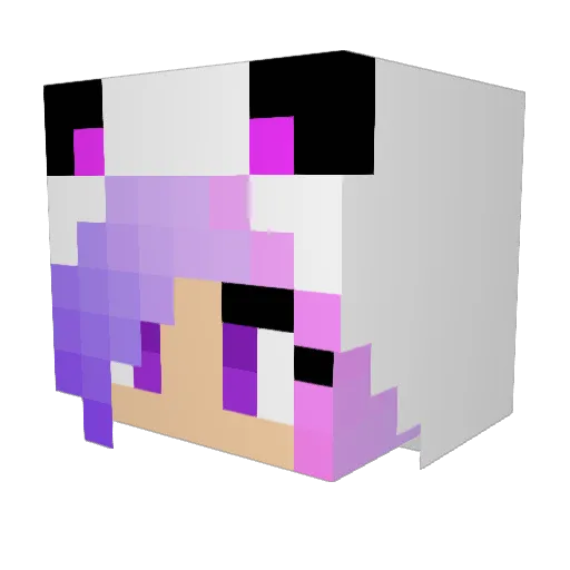 BryBoots Minecraft avatar head, 3D render