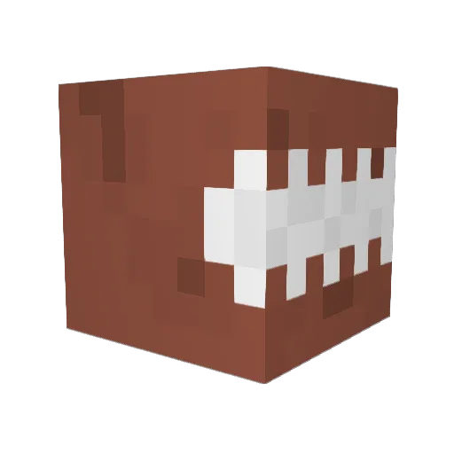 BryGuyBG Minecraft avatar head, 3D render