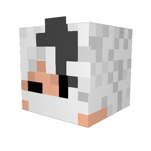 Bry_Dry09 Minecraft avatar head, 3D render