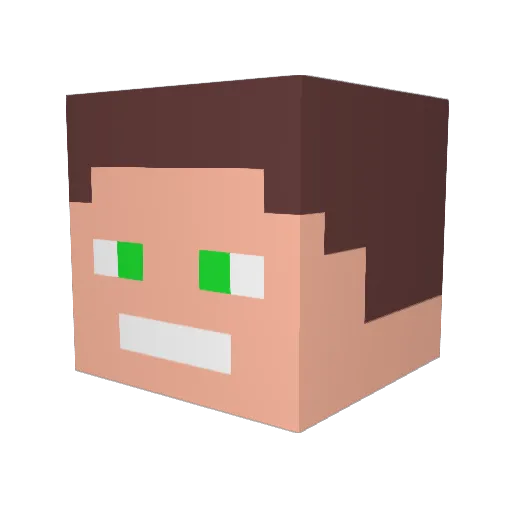 Bryan10x Minecraft avatar head, 3D render