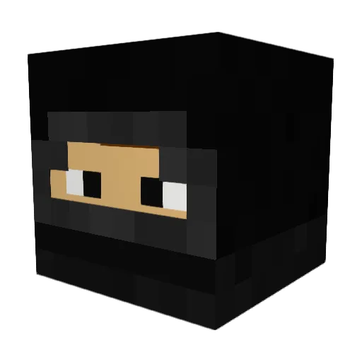 Bryan5995 Minecraft avatar head, 3D render