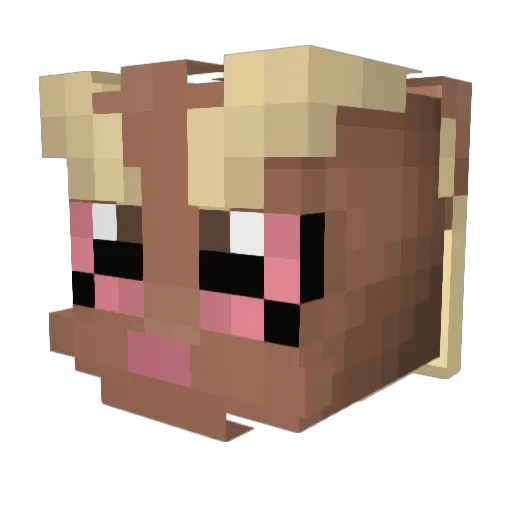 BryanP96 Minecraft avatar head, 3D render