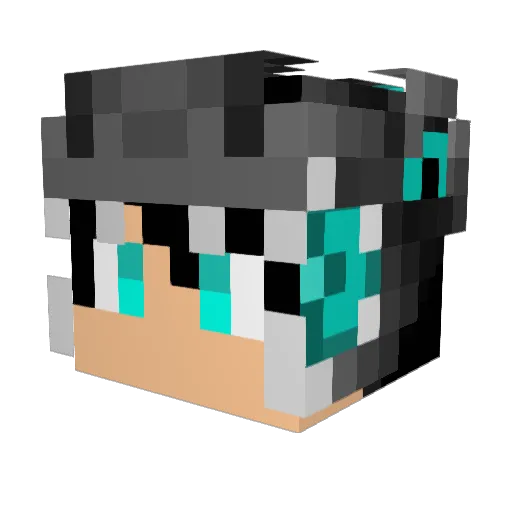 Bryan_161099 Minecraft avatar head, 3D render