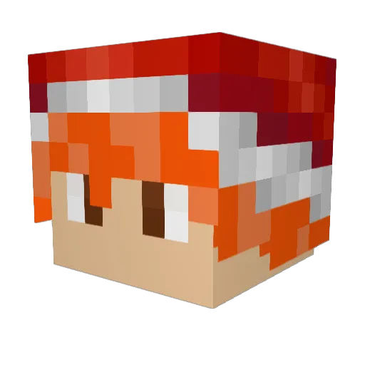 Bryan_vd_Laan Minecraft avatar head, 3D render