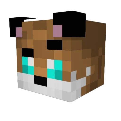 Bryanlucas1 Minecraft avatar head, 3D render