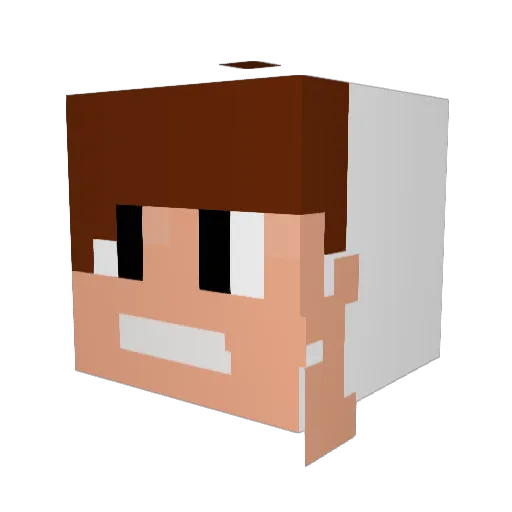 Bryanzinn81 Minecraft avatar head, 3D render