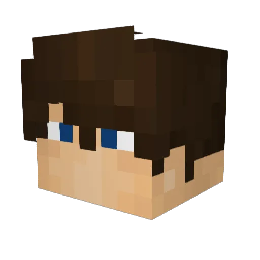 Bryce209 Minecraft avatar head, 3D render