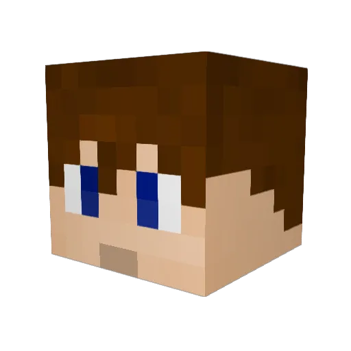 Bryce8733 Minecraft avatar head, 3D render