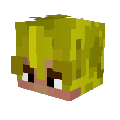 Bryce96024 Minecraft avatar head, 3D render