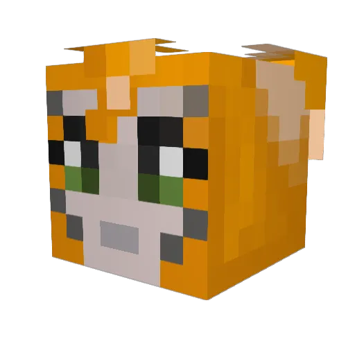 BryceAllan13 Minecraft avatar head, 3D render