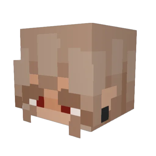 Bryce_Guy Minecraft avatar head, 3D render