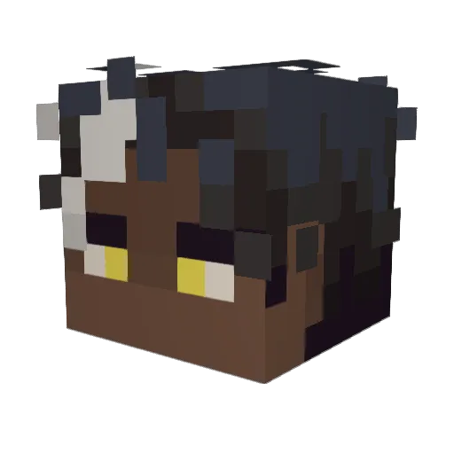 Bryce_Knight Minecraft avatar head, 3D render