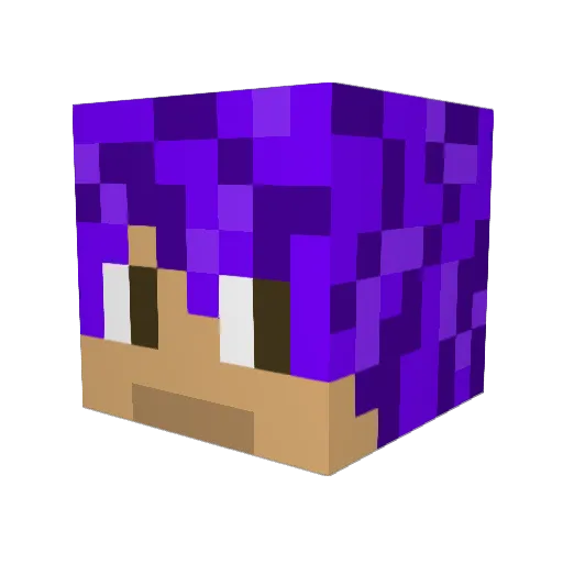 Bryce___ Minecraft avatar head, 3D render