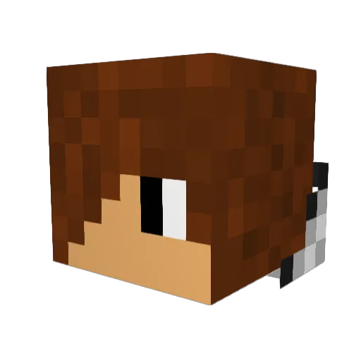 Bryceface89 Minecraft avatar head, 3D render