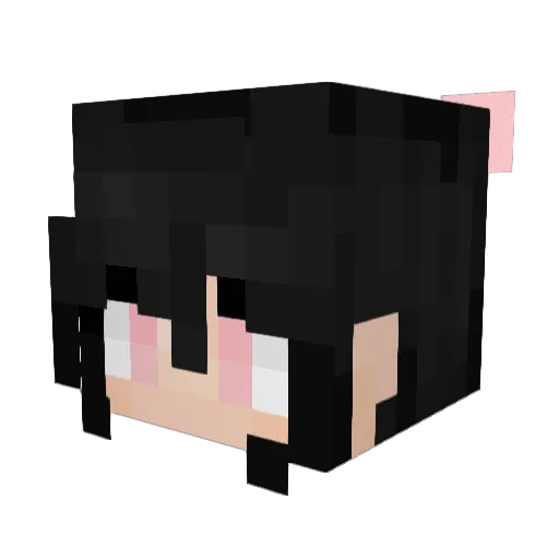 Brycen503 Minecraft avatar head, 3D render