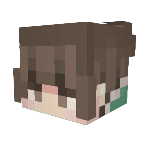 Brycetheman025 Minecraft avatar head, 3D render