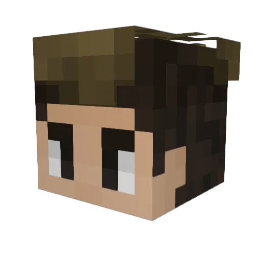 Brychcy53 Minecraft avatar head, 3D render